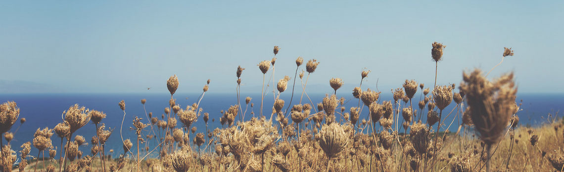 不会跑路的小黑ddos压力测试平台